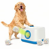 RERBIO automatic dog ball launcher front view showing sleek design for active dogs
