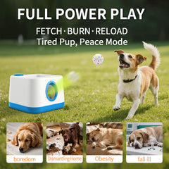 RERBIO paw-activation button highlight demonstrating self-triggered launches