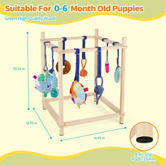 Retyion eight-hanging-toys-puppy-gym demonstrates varied enrichment and stimulation during play.