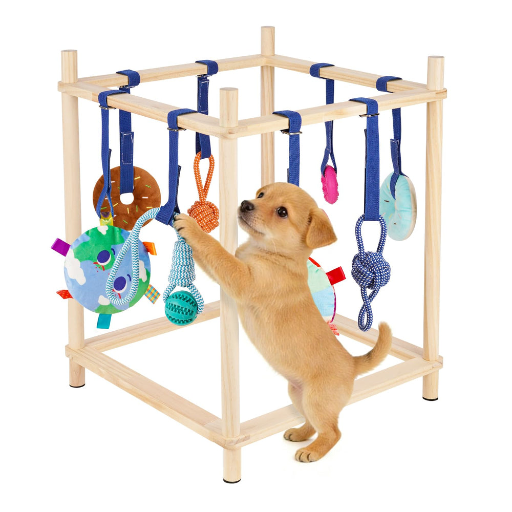 Retyion wooden-puppy-play-gym in a cozy corner supports safe indoor play for small dogs.