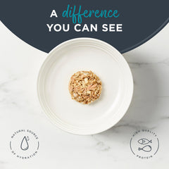 Reveal wet cat food with hydrating broth boosts palatability for cats.
