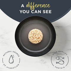 Reveal grain-free kitten formula highlights limited ingredients for sensitive tummies.