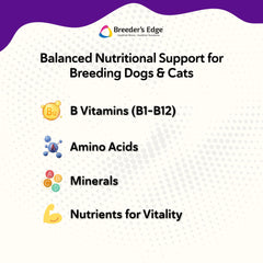 Dogs and cats bowls with powder mixed into meals for daily nutrition.
