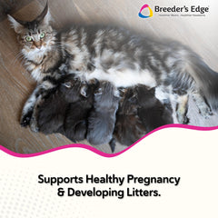 Close-up of Revival Breeder's Edge Oxy Mate meat treats delivering palatable prenatal nutrition.