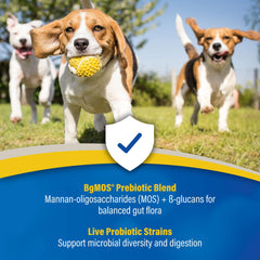 Front packaging highlights convenient, ready-to-use GI support for dogs and cats.
