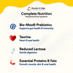 Breeder's Edge Foster Care Feline low lactose formula for sensitive stomachs