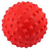 RHL dog squeaky ball toy for aggressive chewers boosts engagement during playtime