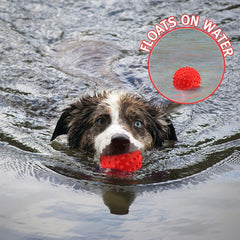 RHL durable ball toy designed for long-lasting sessions with tough chewers