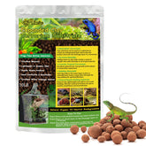 Riare 10LBS expanded clay balls substrate illustrating drainage layer for terrariums