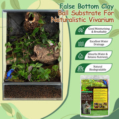 Riare clay balls providing moisture retention in a lightweight substrate