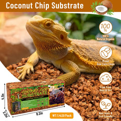 Riare coconut husk chips expanded for quick terrarium setup