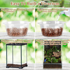 Riare expanded clay balls in use for water filtration in a terrarium scene