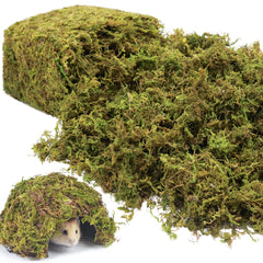 Riare natural sphagnum moss 25qt for reptiles offers natural texture and moisture management.