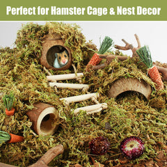 Riare reptile moss terrarium includes pleasant scent and odor absorption benefits.