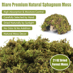 Riare soft forest moss bedding for hamsters creates cozy nesting and enrichment.