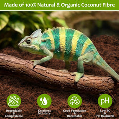 Riare substrate provides soft, breathable bedding for reptiles.