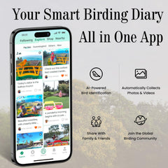 RichBird USB-powered setup enables 24/7 live viewing without battery changes