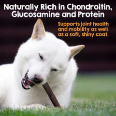 Riley's long-lasting chews offer a safe outlet for strong chewers.