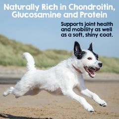 Riley's steer bully stick odor-free product image for clean chewing
