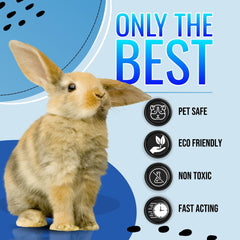 Riverside Essentials bunny litter box cleaner tackles urine stains safely