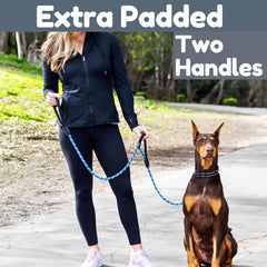 Roam Gear dual padded-handles dog leash enhances grip and control during training