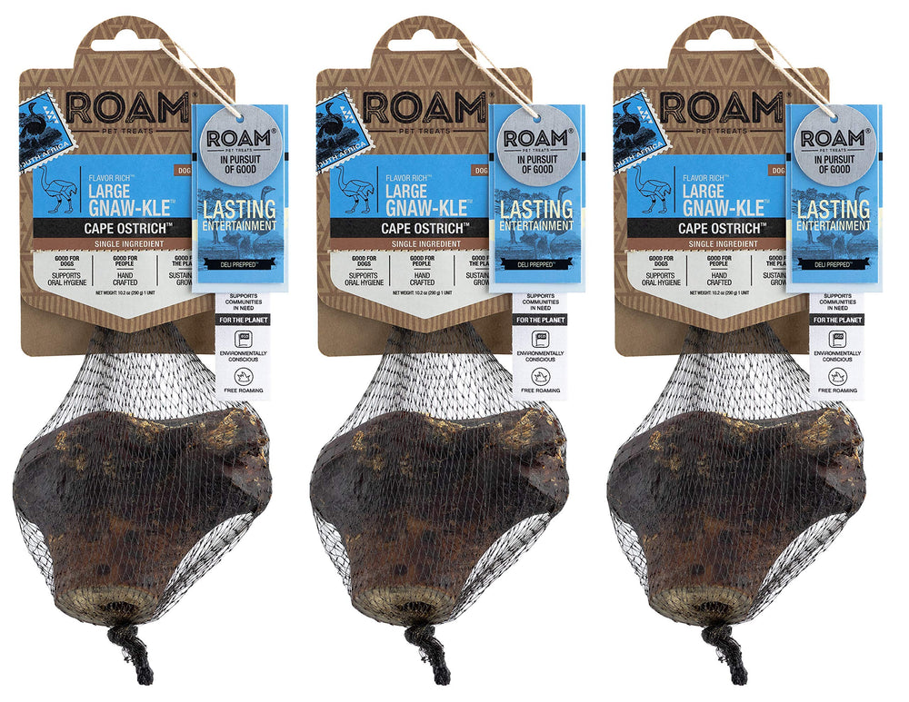 ROAM ostrich knuckle dog chew shows a durable, long-lasting option for medium to large dogs.