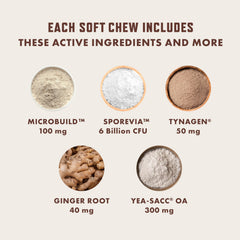 Rocco & Roxie Probiotics SporeVia probiotic visual for gut health