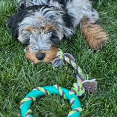 Rocket & Rex teething toy with nubs and ridges to soothe gums.