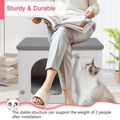 Rockever stackable design enables multi-cat towers with stable footing.