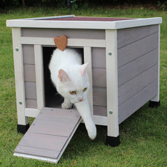Rockever Outdoor Cat House with asphalt roof highlights weatherproof protection