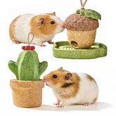 Rodizoo guinea pig chew toy acorn shape supports natural chewing and play.