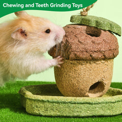 Rodizoo natural timothy grass treat for small pets' munching moments.