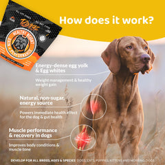 Rogue Pet Science Healthy Weight ingredients bowl highlights real food nutrition.