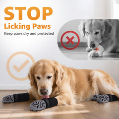 Roilpet senior dog comfort socks designed for aging paws during daily activity.