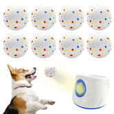 RoseYouth 8-pack dog balls for year-round fetch and outdoor fun.