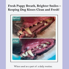 ROSEY'S PUPPY FRESH BREATH in dog bowl with water additive for fresher breath.