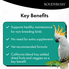 Visible dried peaches and apricots signal flavorful ingredients for birds.