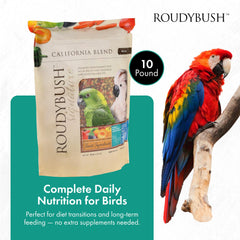 Roudybush California Blend fruit and vegetable mix close-up for varied bird meals.