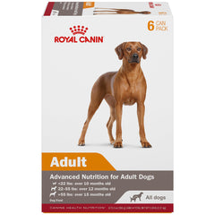 Royal Canin Adult in Gel Wet Dog Food packaging highlighting advanced nutrition.