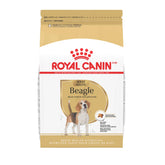 Royal Canin Beagle Adult 6 lb bag showing breed-specific nutrition for Beagles