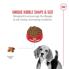 Front view of Royal Canin Beagle Adult bag highlighting breed-specific formula