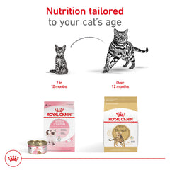 Royal Canin Bengal coat shine image emphasizes skin and coat support benefits