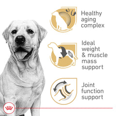 Royal Canin Labrador 5+ kibble close-up highlighting texture designed for easier chewing.