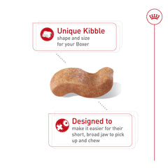 Royal Canin Boxer kibble close-up shows wave-shaped pieces for easy chewing.