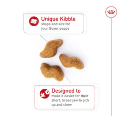 Royal Canin Boxer Puppy antioxidant blend supports healthy immune development.