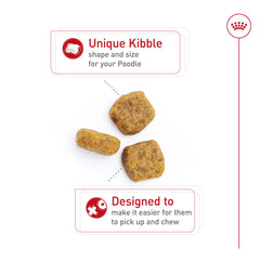 Royal Canin Breed Health Poodle adult kibble close-up, designed for straight muzzle.