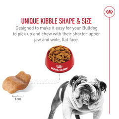 Royal Canin Bulldog Adult digestive health improves gut comfort and stool quality.
