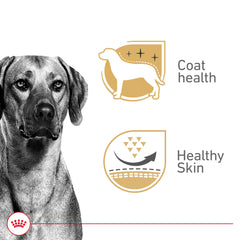 ROYAL CANIN Canine Health Nutrition Adult in Gel label closeup; premium ingredients highlighted for dog owners.