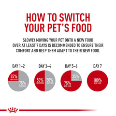 Indoor cat enjoys Royal Canin Hairball Care dry food during mealtime.