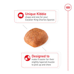 Royal Canin Cavalier King Charles Spaniel bag back with nutrition label and guidelines.